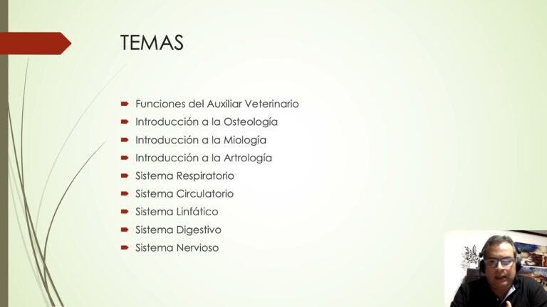 Cursos Gratuitos de Auxiliar de Veterinaria