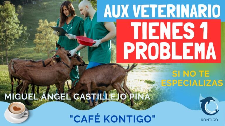 Curso de Auxiliar Veterinaria Homologado: Tu Paso Hacia una Carrera Prometedora