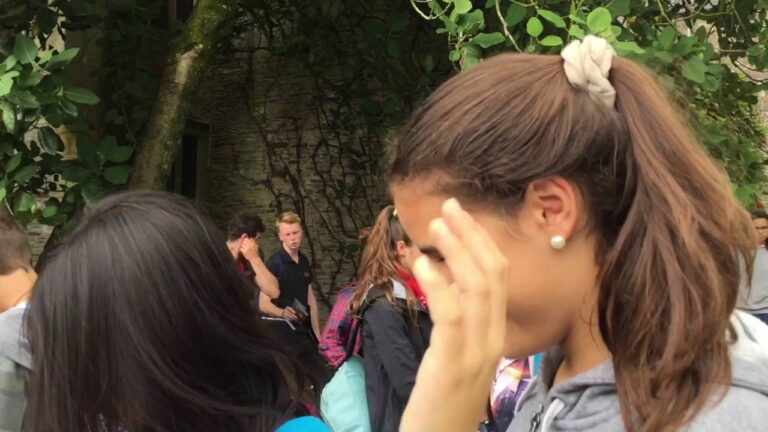 Mejores cursos de inglés en Totnes: ¡Aprende de forma eficaz y rápida!