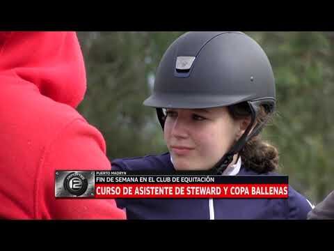 Curso de Steward: Formación Optimizada y Concisa