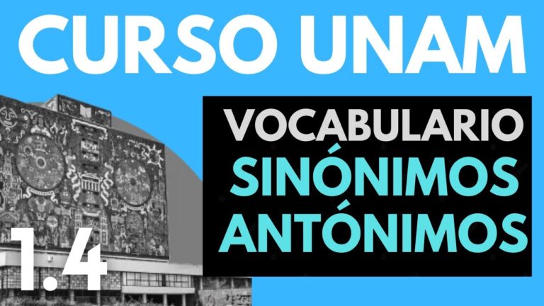 Alternativas de formación