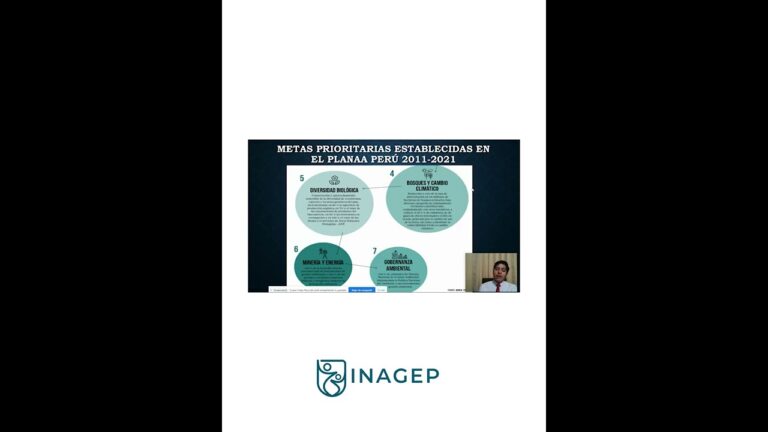 Curso de Auditoría Ambiental: Optimizando la Gestión Ambiental