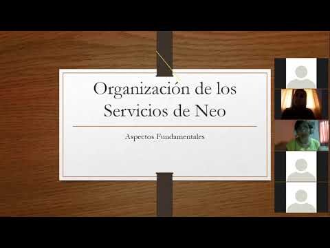 Curso de Neonatología: Servicios Optimizados