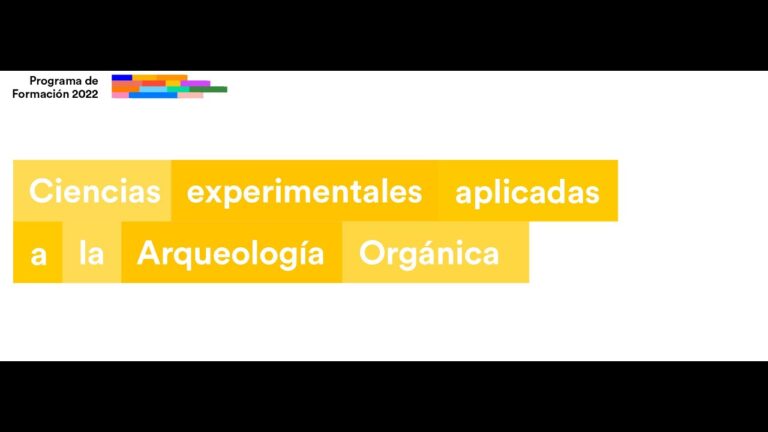 Curso de arqueología: Explorando el pasado de manera profesional