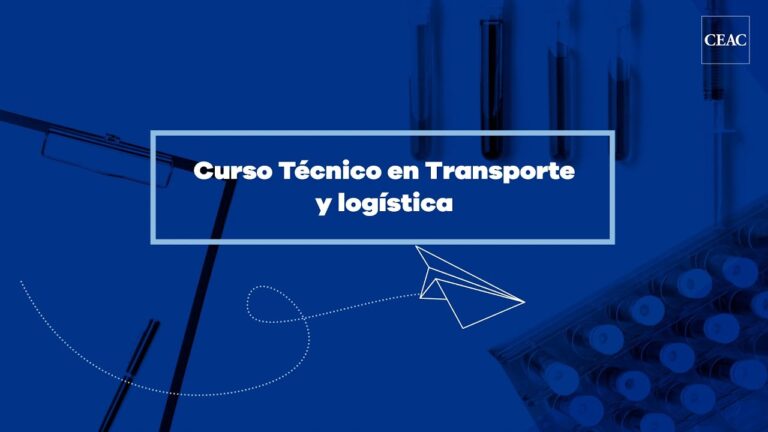 Guía para un Curso Técnico de Logística: Optimización y Eficiencia