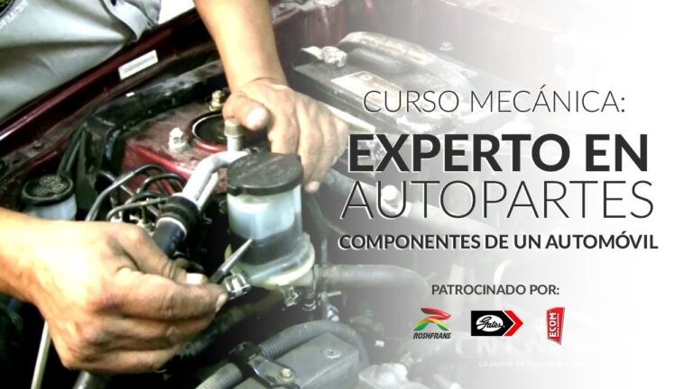 Curso de Elementos Automovil&iacute;sticos: Todo lo que Necesitas Saber