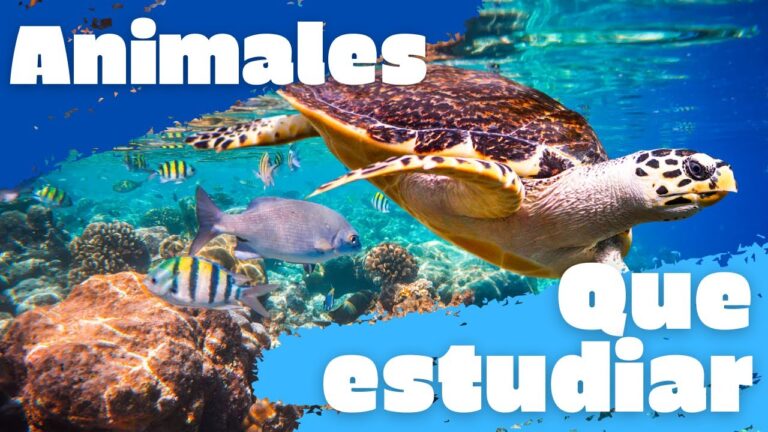 Oportunidades para Trabajar con Animales sin Estudios