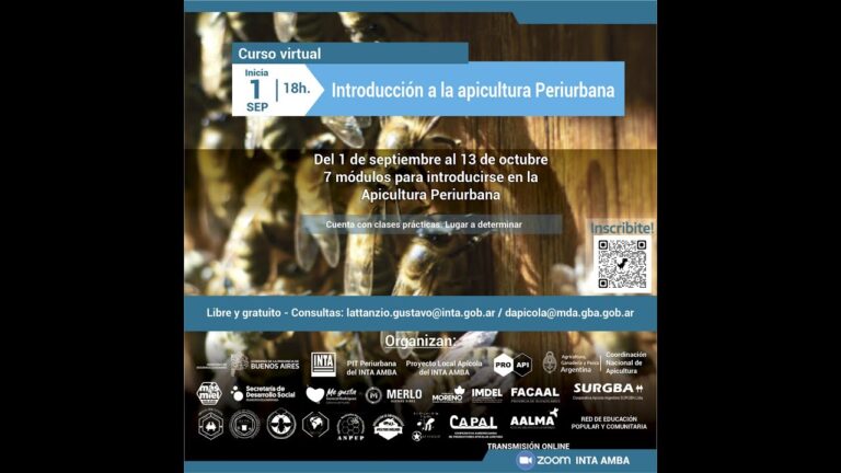 Curso de Apicultor: Gu&iacute;a Completa para Iniciar en la Apicultura