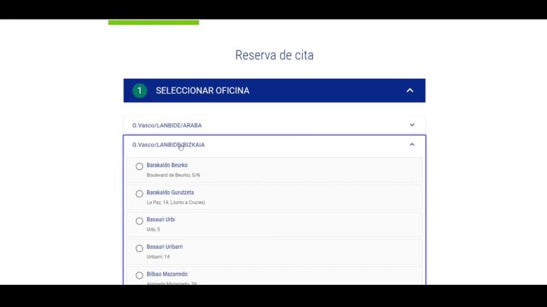 Cursos Lanbide Vizcaya: Oportunidades de Formación
