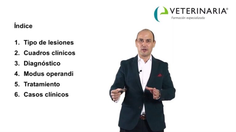 Curso de Dermatología Veterinaria: Guía Completa