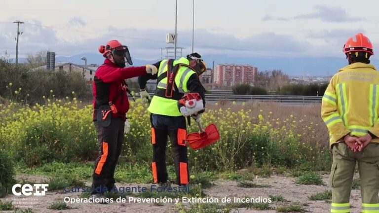 Curso Forestal SEPE: Formación especializada para el cuidado del bosque