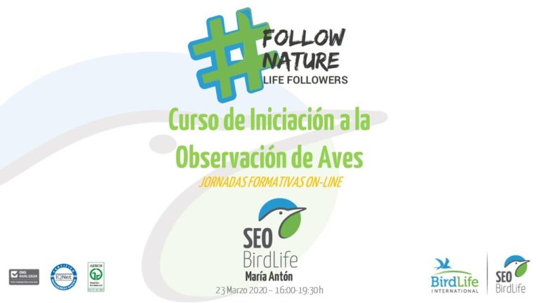 Curso de Identificaci&oacute;n en Ornitolog&iacute;a: Gu&iacute;a Completa