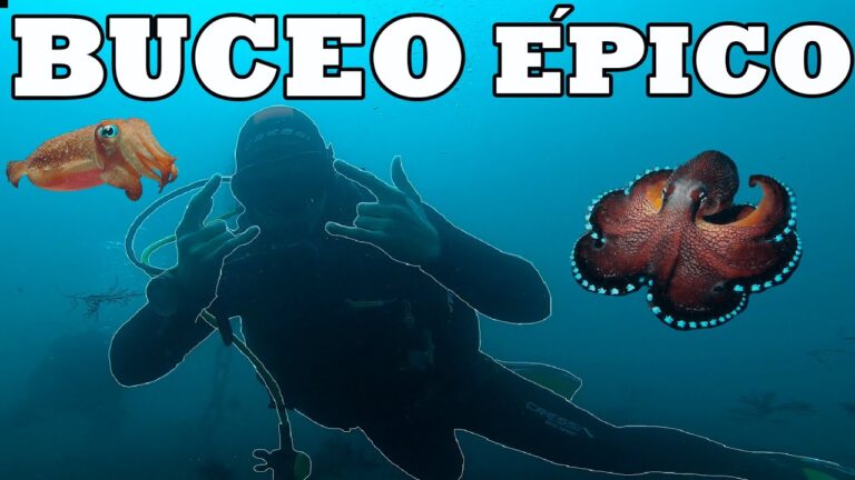 Curso de submarinismo en Madrid: &iexcl;Descubre las profundidades!