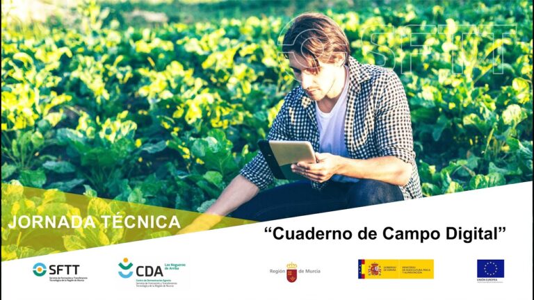 Cursos Imidra: Formación especializada de alta calidad