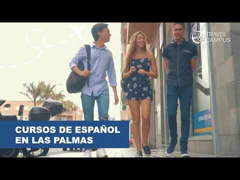 Mejores cursos en Las Palmas: Todo lo que necesitas saber