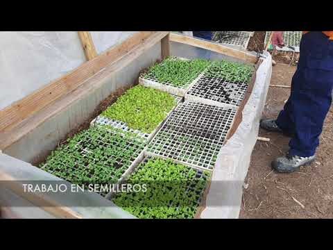 Los mejores cursos de Rey Ardid: &iexcl;Aprende con los expertos!