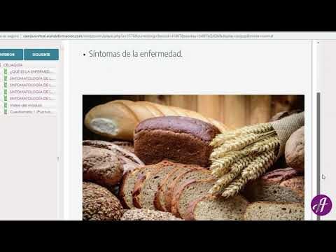 Curso de cocina sin gluten en Madrid: Aprende a cocinar platos deliciosos y saludables