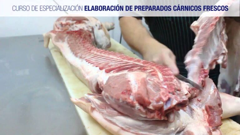 Curso de Industrias C&aacute;rnicas: Optimizaci&oacute;n y Eficiencia