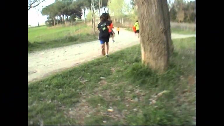 Cursa Nocturna dels Mussols: La Carrera Nocturna Más Emocionante