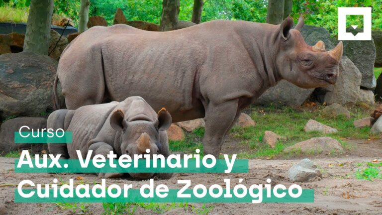 Curso de cuidador de zoológico en Madrid