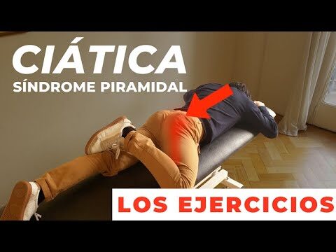 Curso sobre el Síndrome Piramidal: Diagnóstico y Tratamiento