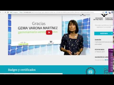 Cursos gratuitos del Gobierno Vasco: Una oportunidad educativa