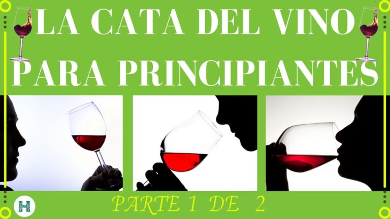 Guía completa: Curso de cata de vinos