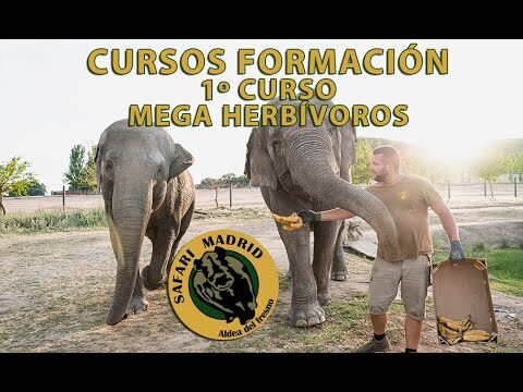 Mejores Cursos en el Zoo de Madrid