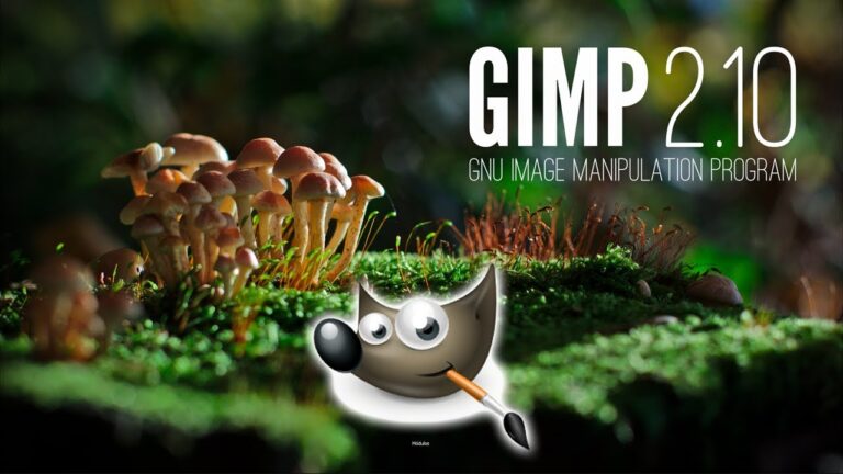 Curso de Gimp: Aprende edici&oacute;n de im&aacute;genes de forma f&aacute;cil y r&aacute;pida
