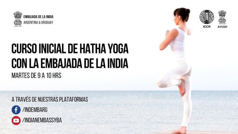Curso de Hatha Yoga: Tu camino hacia la armon&iacute;a interior