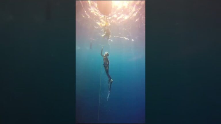 Curso de Apnea en Tenerife: Descubre los Secretos del Mar