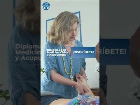 Curso de Medicina China: Una Introducci&oacute;n Completa