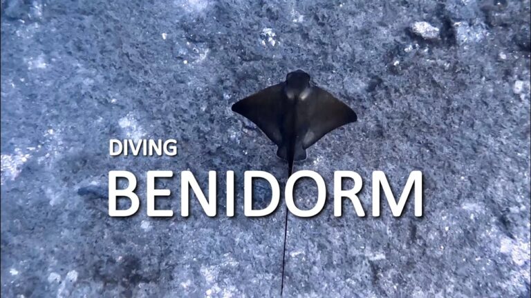 Curso de buceo en Benidorm: Sumérgete en las aguas cristalinas del Mediterráneo