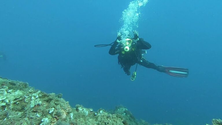 Curso de Buceo Open Water en Costa Brava