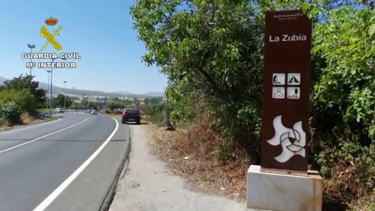 Guía de Cursos Forestales Homologados Gratis