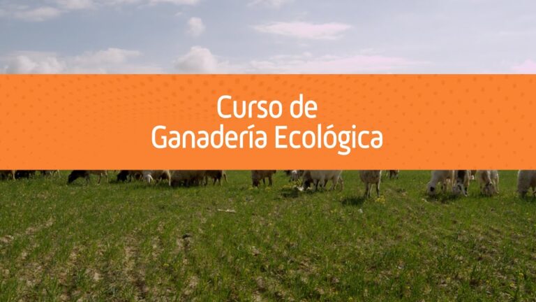 Curso de Ganadería Ecológica: Todo lo que necesitas saber