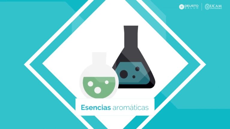 Mejores cursos de salud en Deusto: Una guía completa