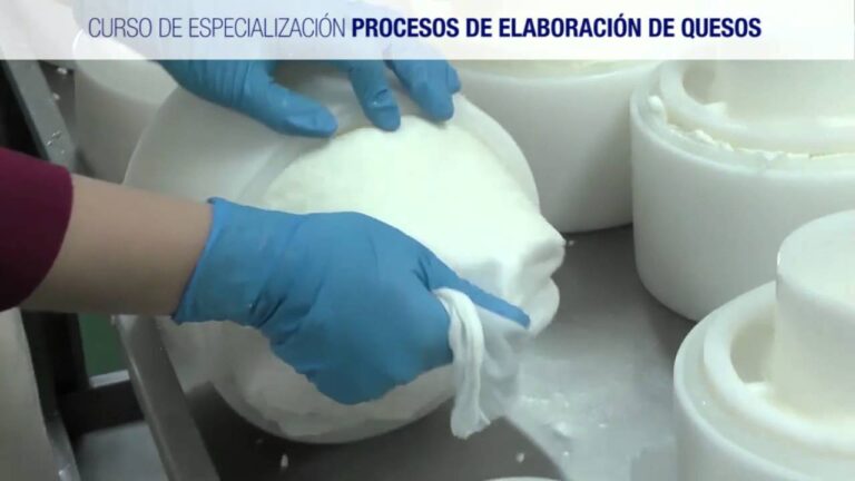 Curso de Elaboración de Queso: Procesos Optimizados