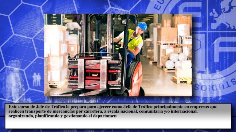 Curso de Jefe de Tráfico: Guía Completa para el Éxito