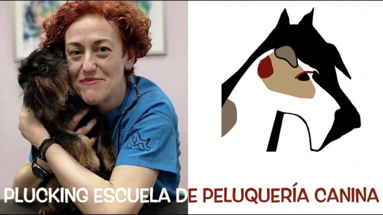 Academia de Peluquer&iacute;a en Santander: Tu Entrada al Mundo del Estilismo