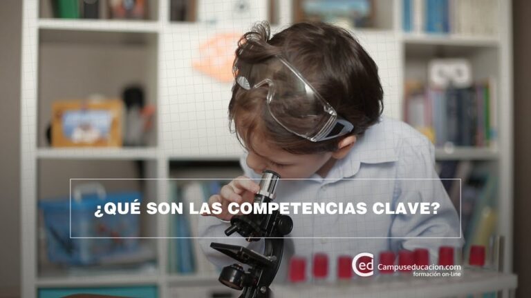 Importancia de las competencias clave en educación