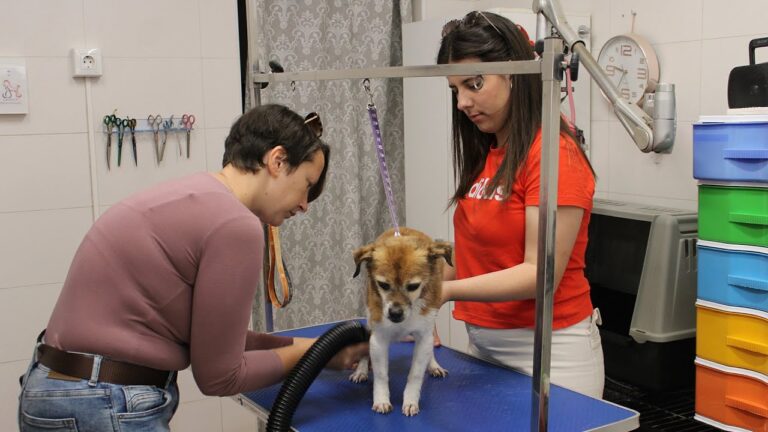 Gu&iacute;a de Precios de Cursos de Peluquer&iacute;a en M&aacute;laga