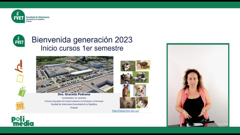 Cursos de la Generación 21: Optimización y Conciencia