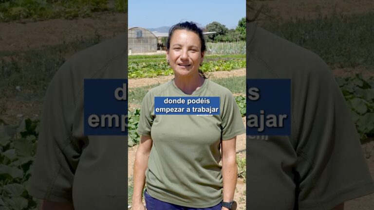 Certificado de Profesionalidad en Jardiner&iacute;a Nivel 1: Todo lo que necesitas saber