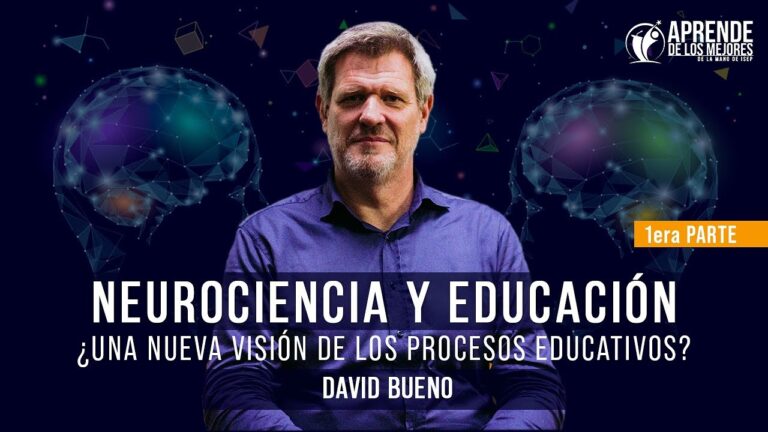 Experto en Procesos Educativos: Clave del Éxito Académico