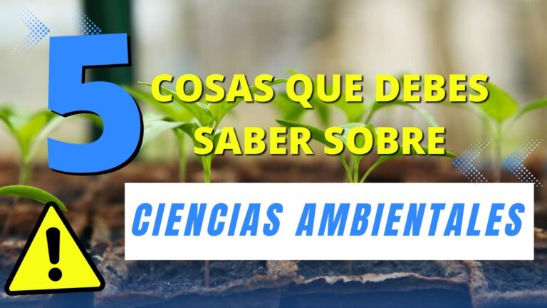 Claves para una carrera exitosa en medioambientales