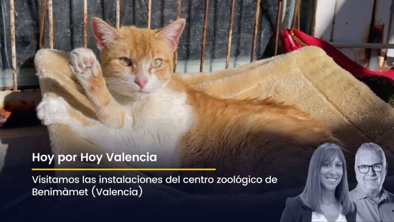 C&oacute;mo llegar a Benimamet