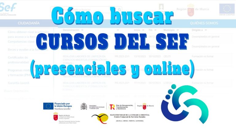 Busco Formación en SEF: Guía para Encontrar la Mejor Capacitación