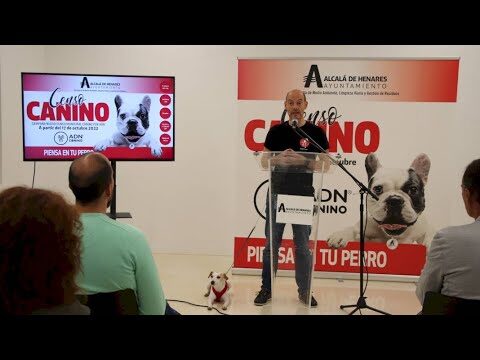 El censo de Alcalá de Henares: datos clave y análisis