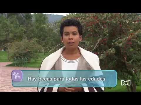 Becas para mayores de 30 años en España: Guía completa